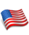 USA Flag Icon